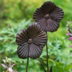 Wilstone 127cm Iron Poppy Flower Garden -Garden Bloom Sales Store 5060345971767 4