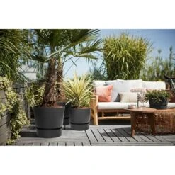 Elho 25cm Living Black Greenville Round Planter -Garden Bloom Sales Store 8711904332334 4