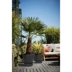 Elho 25cm Living Black Greenville Round Planter -Garden Bloom Sales Store 8711904332334 5