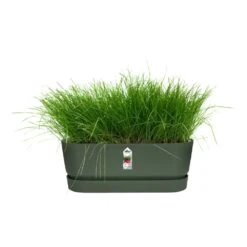 Elho 70cm Living Concrete Greenville Trough Long -Garden Bloom Sales Store 8711904357764 4