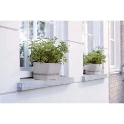 Elho 50cm Living Concrete Greenvillle Long Trough Planter -Garden Bloom Sales Store 8711904358440 4