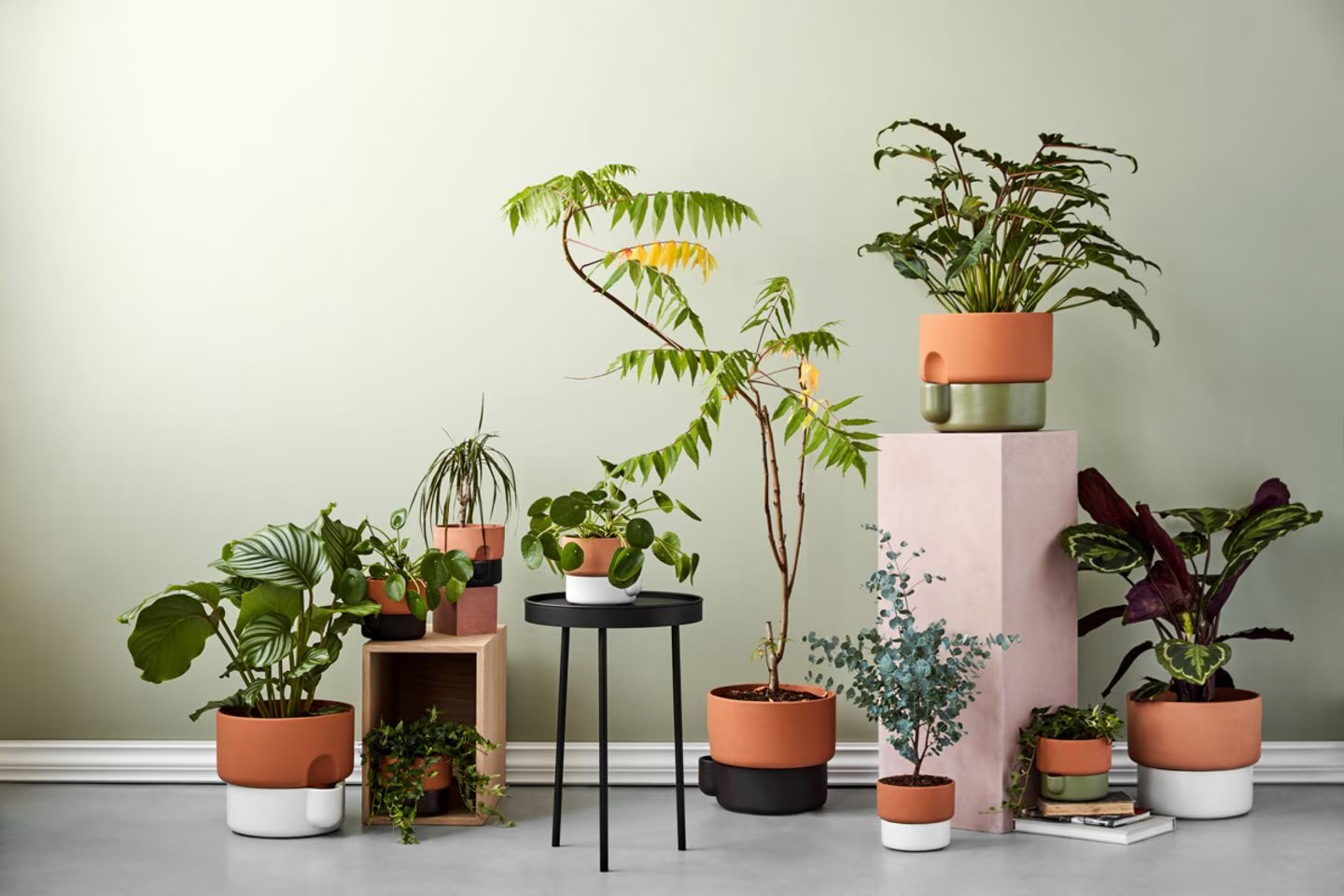 Garden Bloom Sales Store -Garden Bloom Sales Store northern oasis geschenke jpg 69596